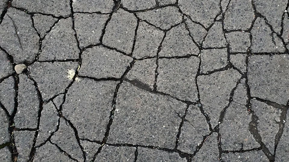 Alligator cracking — an interlocking web of cracks across a failing asphalt surface